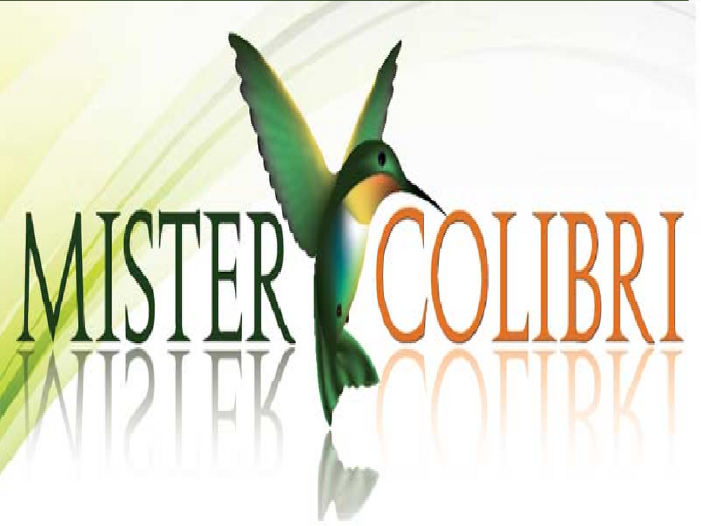 Mister colibri